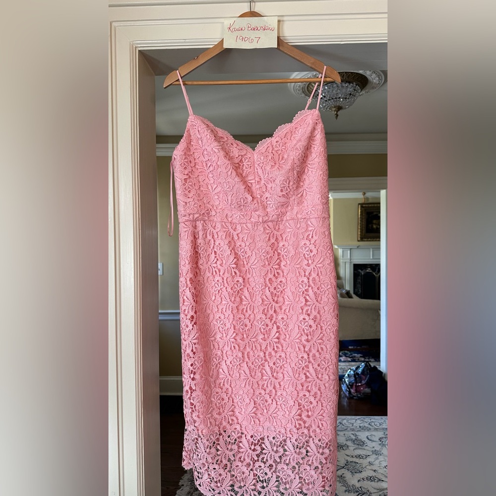 J. Crew Pink Lace Dress